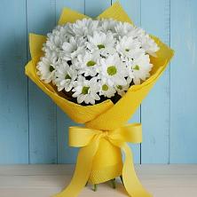 Букет цветов из:  Хризантемы в Гиганте