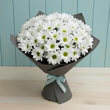 Букет цветов из:  Хризантемы в Гиганте