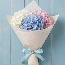 Букет цветов из:  Гортензия в Гиганте
