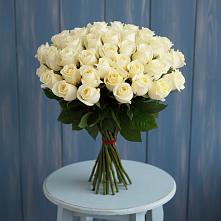 Букет 51 Белая роза Эдлесс Лав в Гиганте