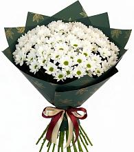 Букет цветов из:  Хризантемы в Гиганте