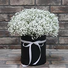 Цветочная композиция из Гипсофила в шляпной коробке в Гиганте