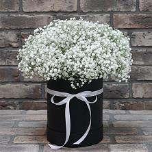 Цветочная композиция из Гипсофила в шляпной коробке в Гиганте