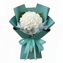Букет цветов из:  Гортензия в Гиганте